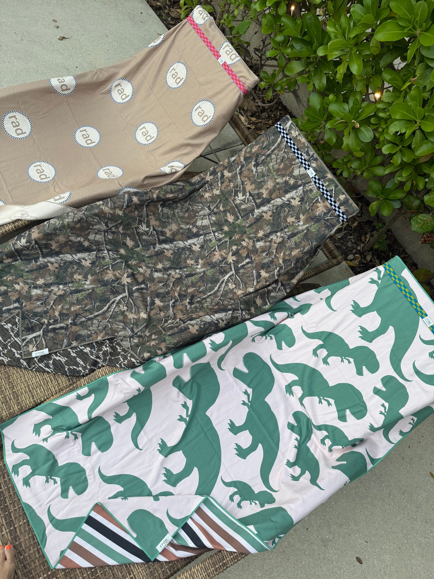 Rex Pool Towel: Reversible