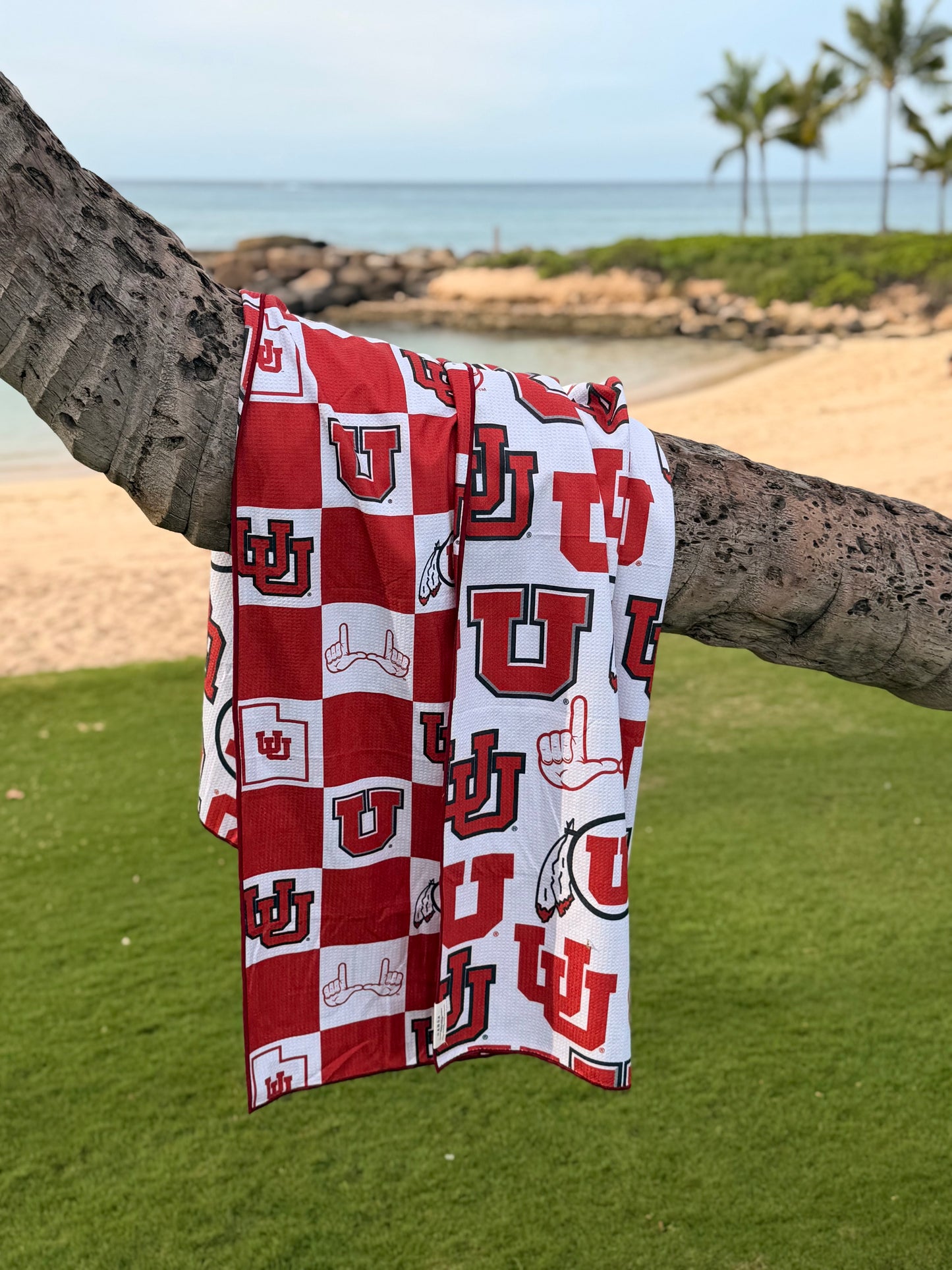 Rise Up Utes Pool Towel: Reversible