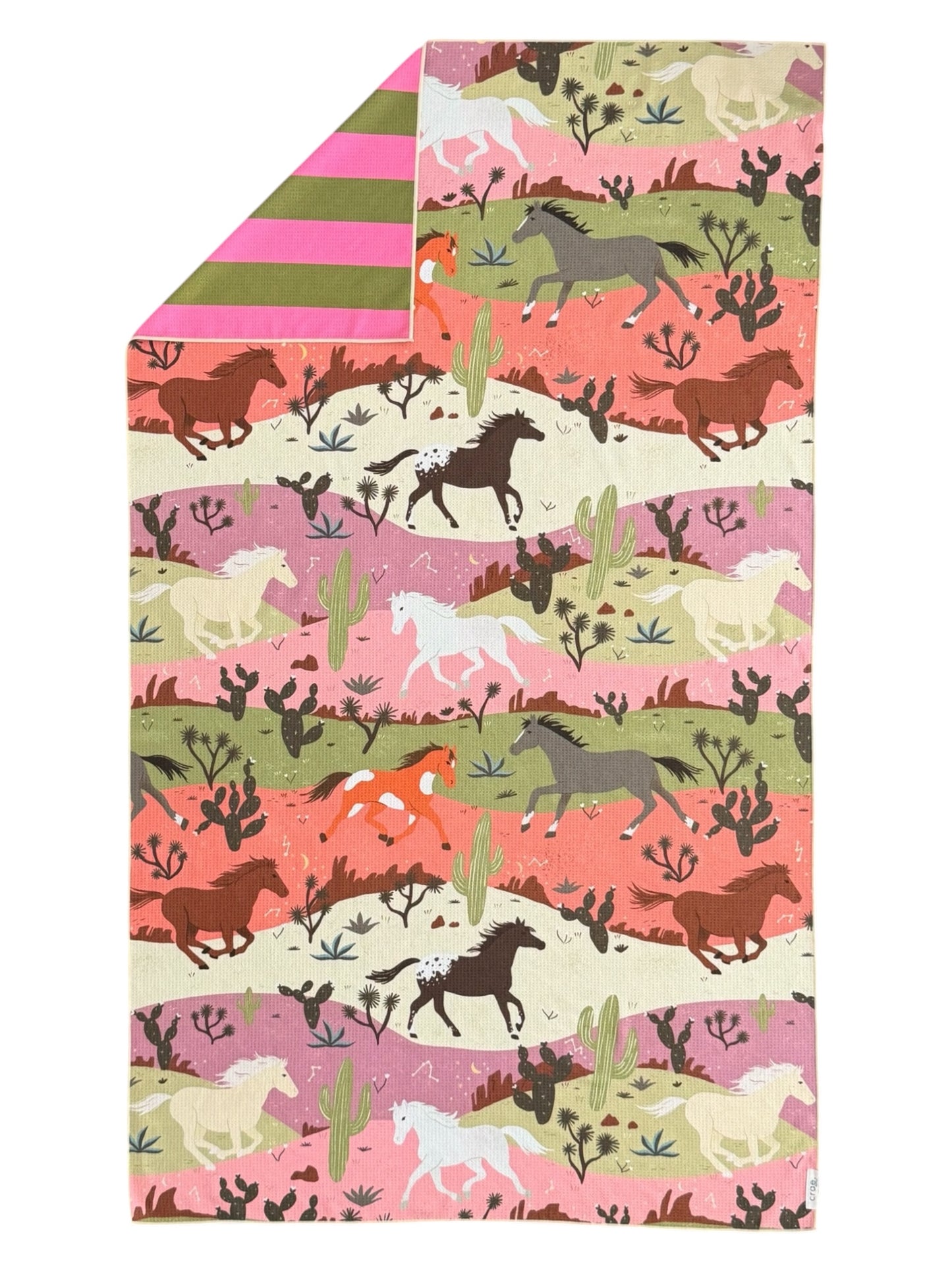 Painted Canyon Pool Towel: Reversible