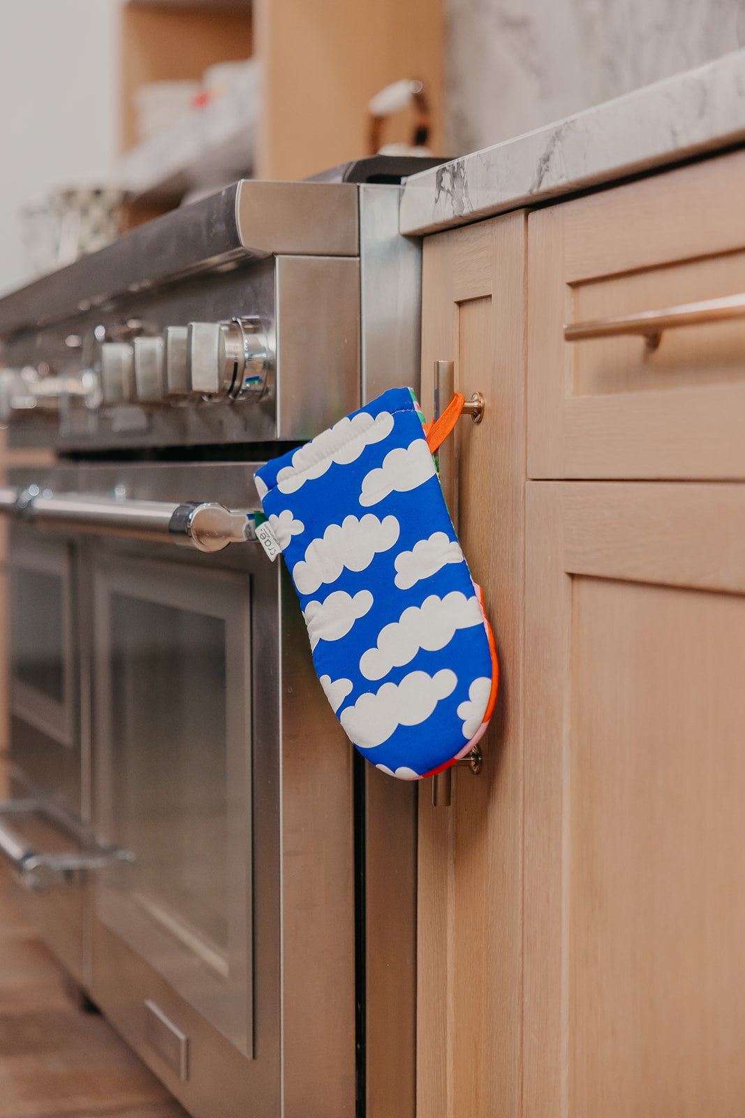 Day and Night Oven Mitt